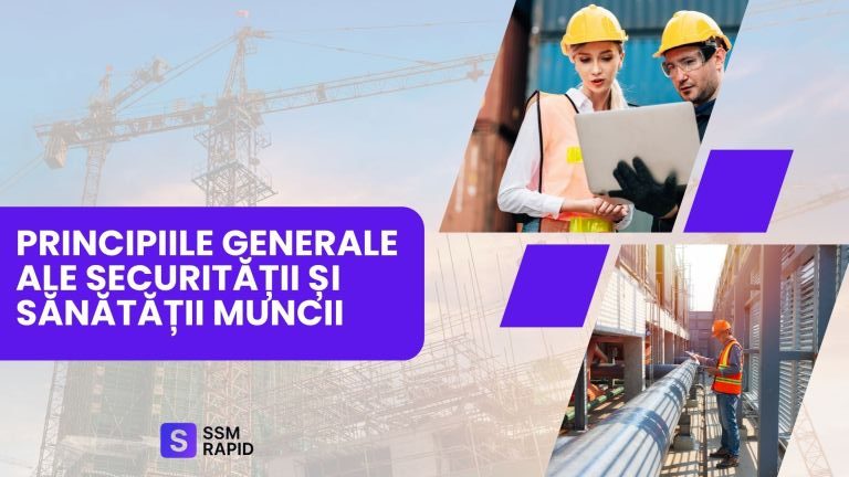 principiile generale ale SSM